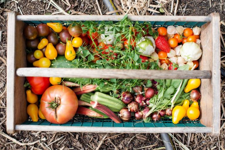 Puulaatikko täynnä värikkäitä vihanneksia.